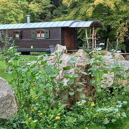 La Roulotte Du Randonneur Villa Rimbach-pres-Masevaux Eksteriør bilde